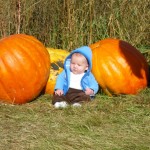 Pumpkins